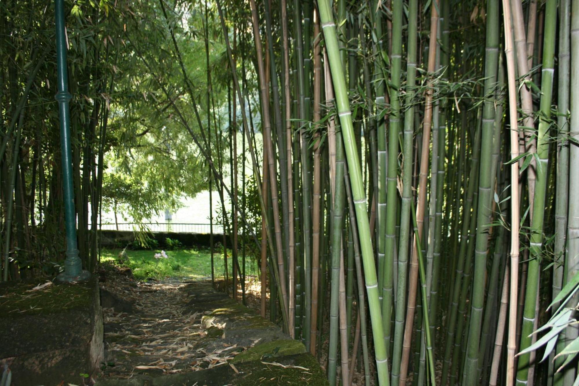 Quinta Da Ermida - Turismo De Habitacao Bed & Breakfast ไบเยา ภายนอก รูปภาพ