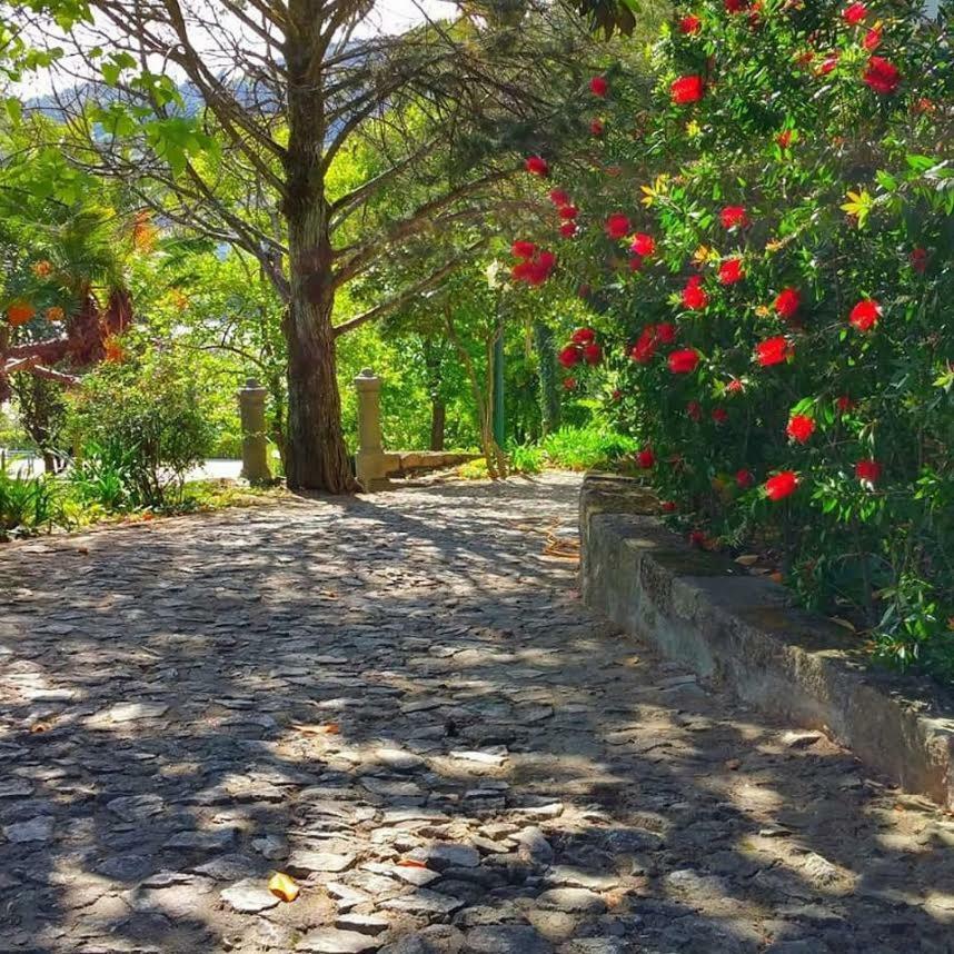 Quinta Da Ermida - Turismo De Habitacao Bed & Breakfast ไบเยา ภายนอก รูปภาพ